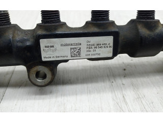 Топливная рампа 9654592680, 9655465480   Peugeot Expert  