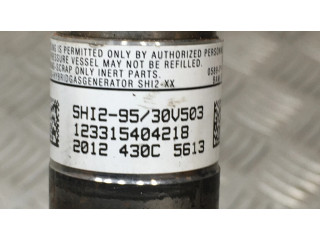 Боковая подушка безопасности 9801665880, 34147462A   Peugeot 5008