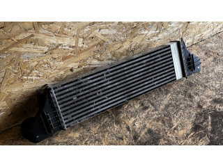 Интеркулер BMW X5 E53 3.0