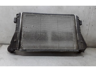 Интеркулер     Skoda Octavia Mk2 (1Z) 