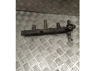 Топливная рампа    Peugeot 406  