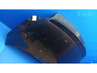 Задняя крышка (багажника)