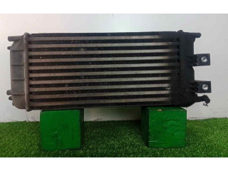 Интеркулер  300X153X80   Peugeot Partner 