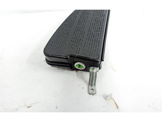 Подушка безопасности в сиденье 1648601705, 1018597520036 Mercedes-Benz R W251