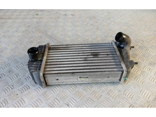 Интеркулер     Suzuki Swift 