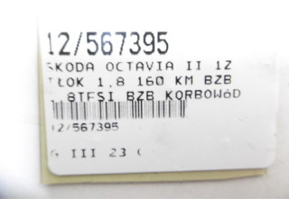 Поршень Skoda Octavia Mk2 (1Z)