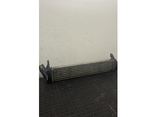 Интеркулер Dacia Logan I