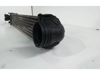 Интеркулер  A1695000000   Mercedes-Benz A W169 