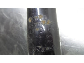 Задняя пневматическая (воздушная) подушка с амортизатором      