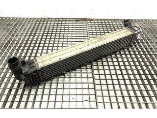 Интеркулер  8200880552B   Dacia Duster II 