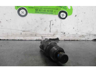 Форсунка 9430030212, 9430030212 Tata Safari D/483DLTC55