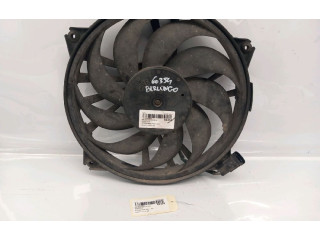 Комплект вентиляторов 1253A6, 1253A6 Citroen Berlingo