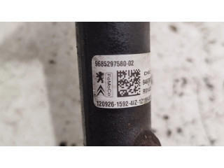 Vstřikovací lišta 9685297580, 55PP3401 Citroen Berlingo pro naftový motor 1.6 9hf