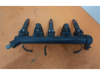 Топливная рампа 03D133319F, 03D133319F Skoda Fabia Mk1 (6Y)