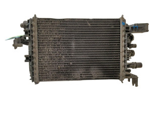 Интеркулер  214106421R   Dacia Dokker 