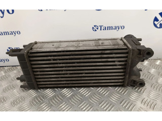 Интеркулер 9684946380, M144207D Citroen C5