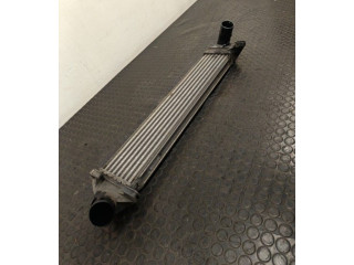 Интеркулер Dacia Logan I