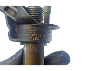 Форсунка A6420701187, 26MWF5S Mercedes-Benz R W251 642872