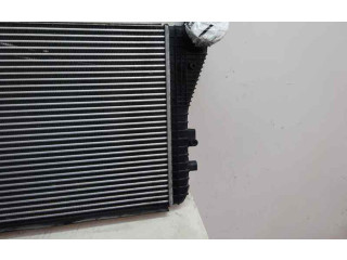 Интеркулер Skoda Octavia Mk2 (1Z)