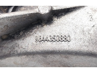 Čerpadlo oleje 9644350880   Citroen Xsara Picasso   RHJ(DW10BTED4)