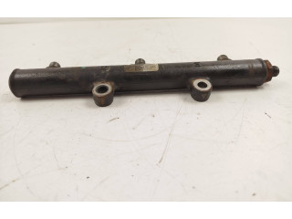 Топливная рампа 20001330, 4R8Q9D280AC Jaguar XF X250