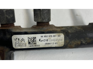 Vstřikovací lišta 9685297580, 968529758003 Citroen Berlingo pro naftový motor 1.6