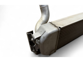 Интеркулер     Fisker Karma 