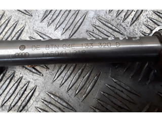 Топливная рампа 04E133320D   Skoda Fabia Mk3 (NJ)  