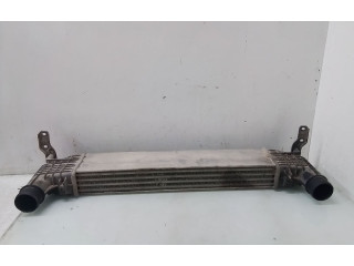 Интеркулер 132002748A Ford Galaxy