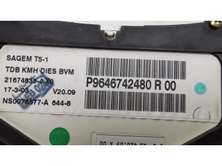 Přístrojová deska Peugeot 307 2003 P6946742480R