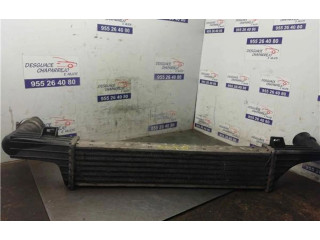 Интеркулер  2105000400, 2105000400   Mercedes-Benz E AMG W210 