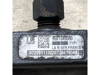 Vstřikovací lišta 9681649580, 0729911132 Peugeot 307 pro naftový motor 2.0