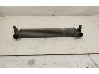 Интеркулер  NOTIENEREFERENCIA   Skoda Fabia Mk3 (NJ) 