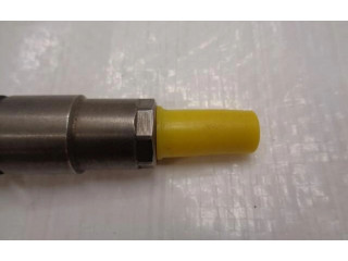 Форсунка 0445110728    Renault Koleos I   