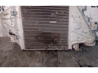 Интеркулер     Renault Clio II 