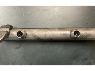 Vstřikovací lišta A6420702595, 0728000028 Mercedes-Benz S W221