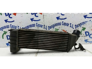 Интеркулер  IWP160   Fiat Doblo 