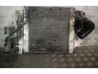 Интеркулер 16009213 Renault Clio II