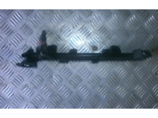 Топливная рампа 0280155216 Peugeot 406