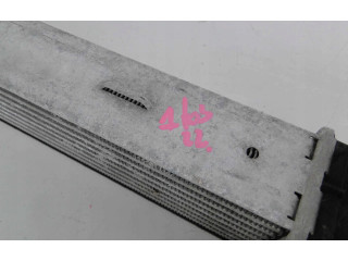 Интеркулер  A2045000500   Mercedes-Benz E W212 