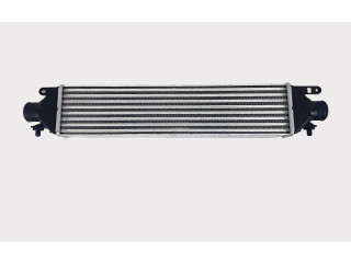 Интеркулер 51783791, 51833106 Fiat Grande Punto