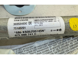 Масляный насос   4F5880741C  Audi A6 S6 C6 4F 