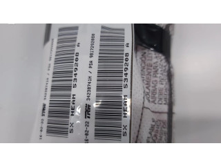 Боковая подушка безопасности 9817292080, PAREM Citroen Berlingo