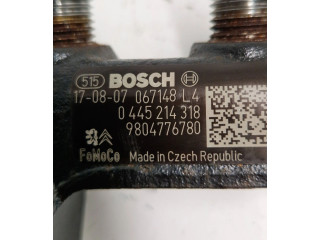 Топливная рампа 9804776780, 067148 Peugeot 3008 II