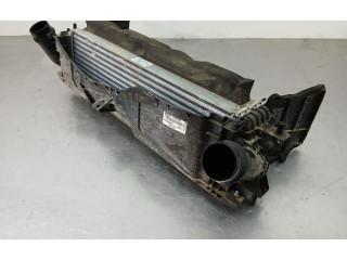 Интеркулер  144614JA0B, EH940003   Renault Alaskan 