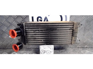 Интеркулер  00000384N9   Citroen Berlingo 1.6