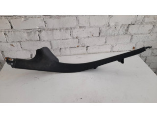 Боковая отделка у заднего сиденья (низ)