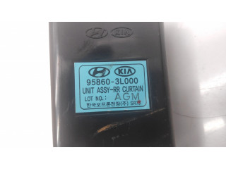 Другие блоки управления / модули