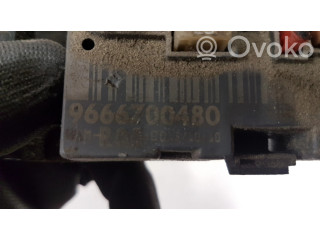 Блок комфорта 9666700480, R05 Citroen Berlingo
