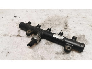 Vstřikovací lišta 9681649580, 0805078 Citroen Berlingo pro naftový motor 1.6